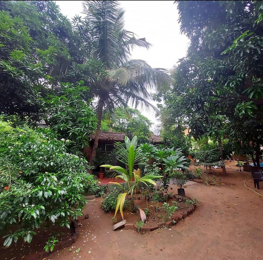 Lotus Riya Home Stay Hampi Exteriör bild